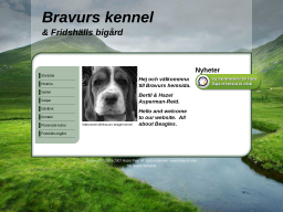 www.bravurs.se