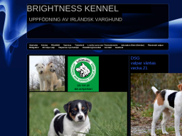www.brightnesskennel.se