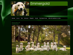www.emmergold.com