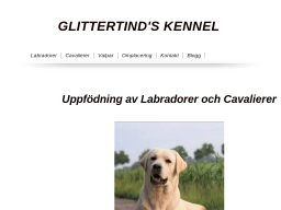 www.glittertindskennel.se