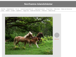 www.norrhamraislandshastar.se